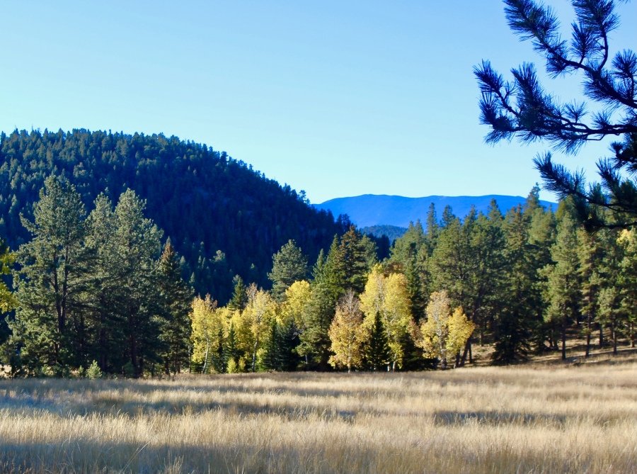 Suffer Better 10th Annual Fall Trail Runs